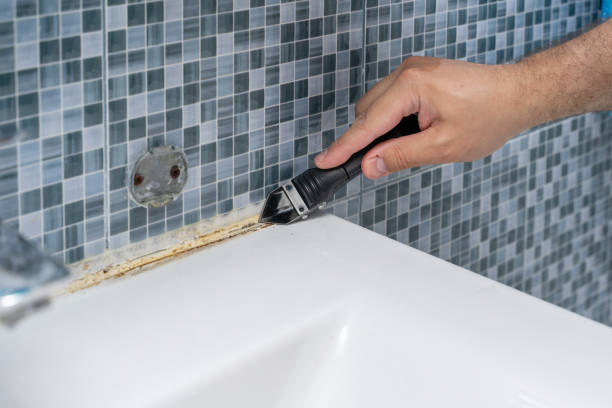 Best Localized Mold Remediation (e.g., coastal areas, humid climates) in Front Royal, VA