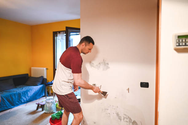 Best Basement Mold Remediation in Front Royal, VA